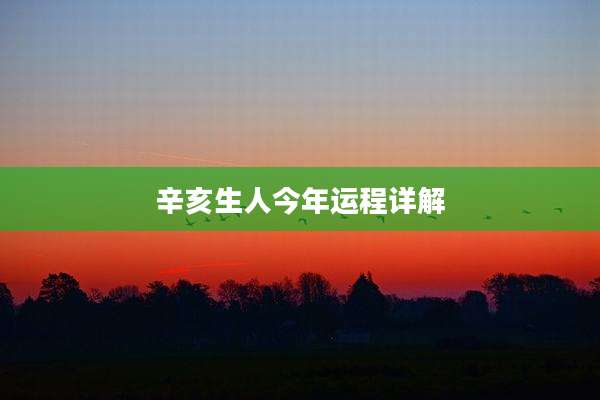 辛亥生人今年运程详解