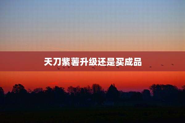 天刀紫薯升级还是买成品