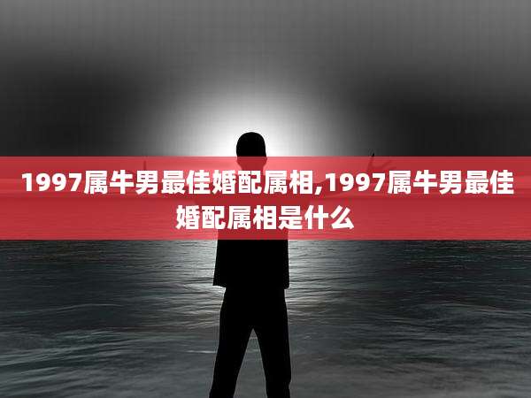 1997属牛男最佳婚配属相,1997属牛男最佳婚配属相是什么