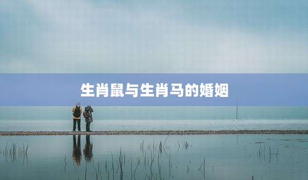 生肖鼠与生肖马的婚姻