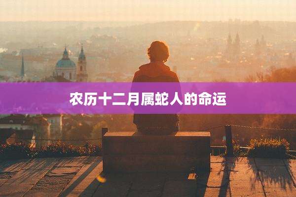 农历十二月属蛇人的命运