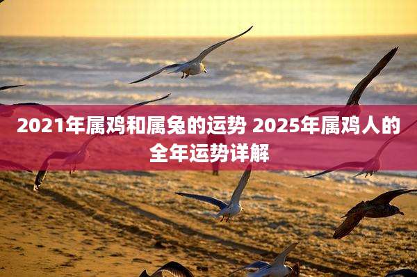 2021年属鸡和属兔的运势 2025年属鸡人的全年运势详解