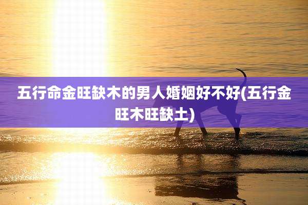 五行命金旺缺木的男人婚姻好不好(五行金旺木旺缺土)