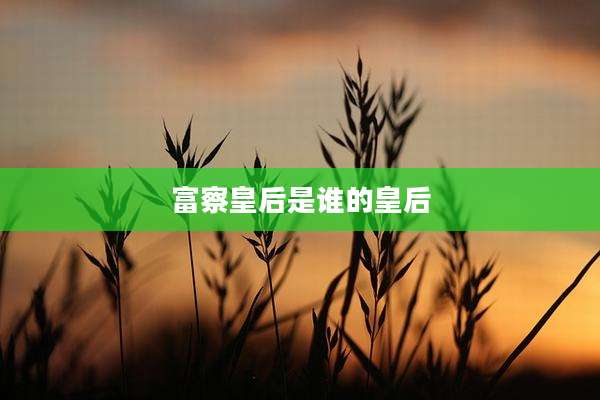 富察皇后是谁的皇后