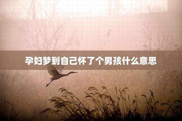 孕妇梦到自己怀了个男孩什么意思
