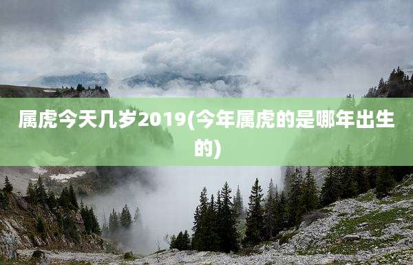 属虎今天几岁2019(今年属虎的是哪年出生的)