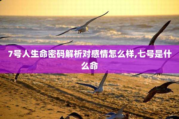 7号人生命密码解析对感情怎么样,七号是什么命