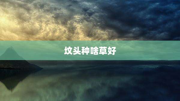 坟头种啥草好