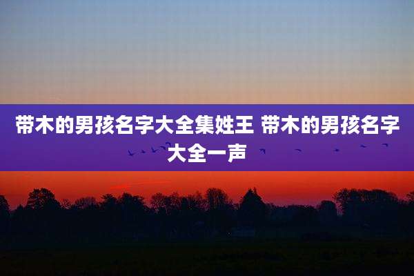 带木的男孩名字大全集姓王 带木的男孩名字大全一声