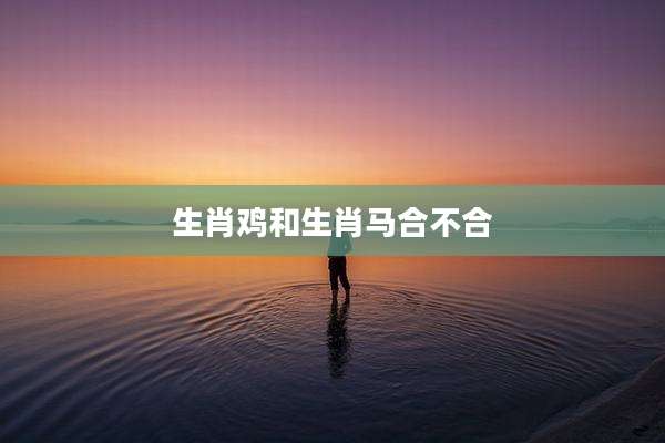 生肖鸡和生肖马合不合