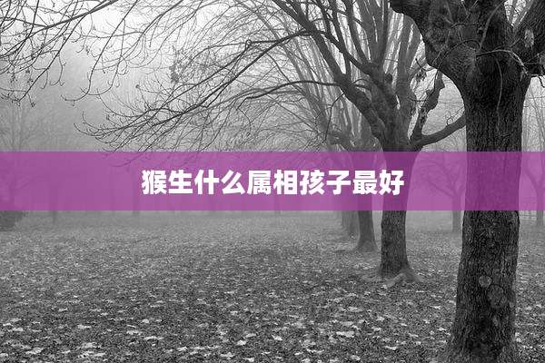猴生什么属相孩子最好