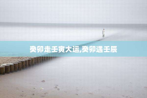 癸卯走壬寅大运,癸卯遇壬辰