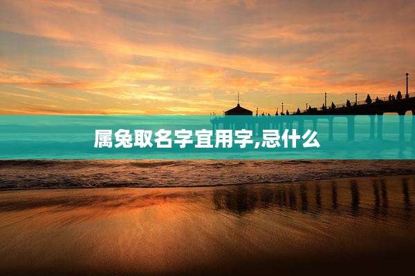 属兔取名字宜用字,忌什么