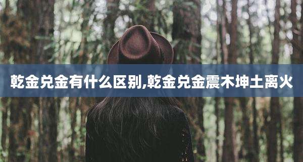 乾金兑金有什么区别,乾金兑金震木坤土离火