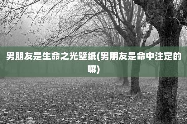 男朋友是生命之光壁纸(男朋友是命中注定的嘛)