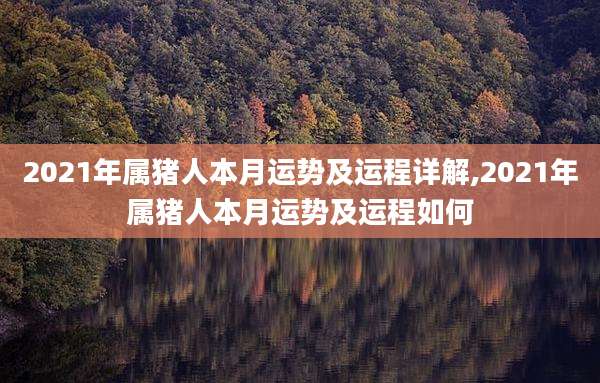 2021年属猪人本月运势及运程详解,2021年属猪人本月运势及运程如何