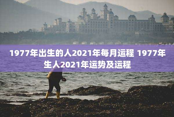 1977年出生的人2021年每月运程 1977年生人2021年运势及运程