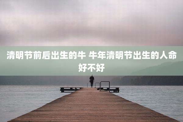 清明节前后出生的牛 牛年清明节出生的人命好不好