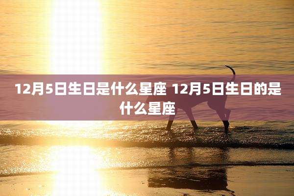 12月5日生日是什么星座 12月5日生日的是什么星座