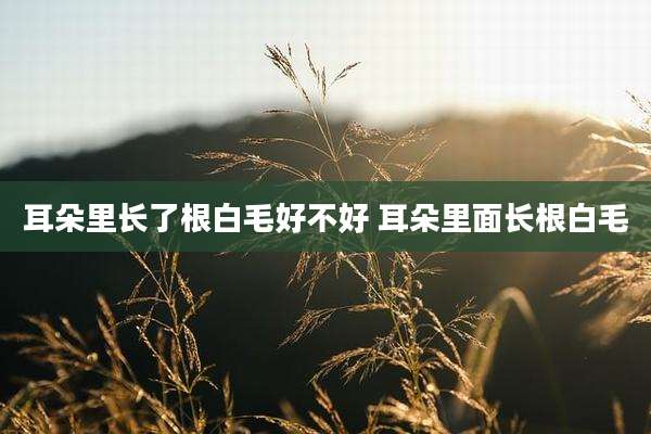 耳朵里长了根白毛好不好 耳朵里面长根白毛