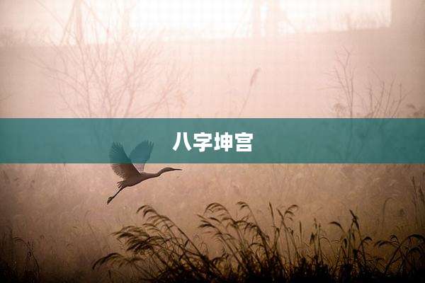 八字坤宫