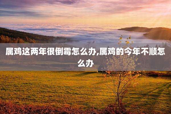 属鸡这两年很倒霉怎么办,属鸡的今年不顺怎么办