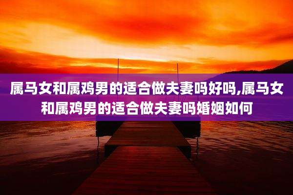 属马女和属鸡男的适合做夫妻吗好吗,属马女和属鸡男的适合做夫妻吗婚姻如何