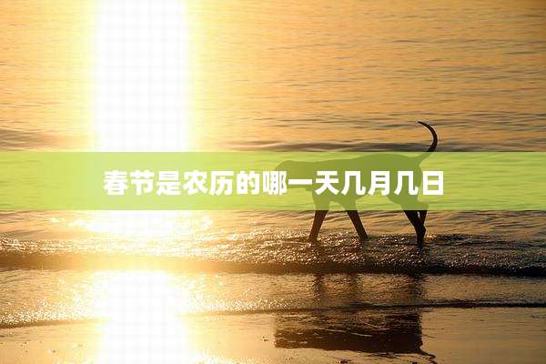 春节是农历的哪一天几月几日
