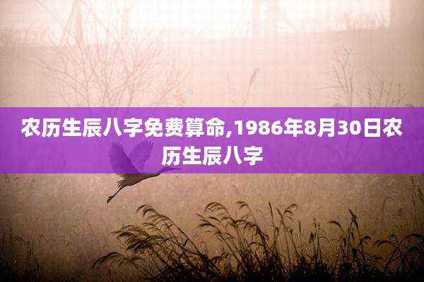 农历生辰八字免费算命,1986年8月30日农历生辰八字