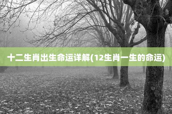 十二生肖出生命运详解(12生肖一生的命运)