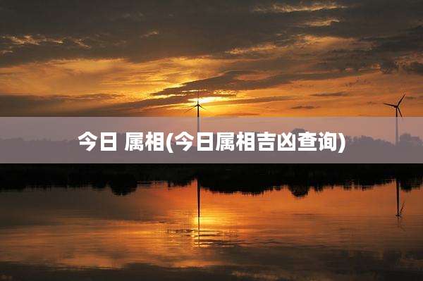 今日 属相(今日属相吉凶查询)