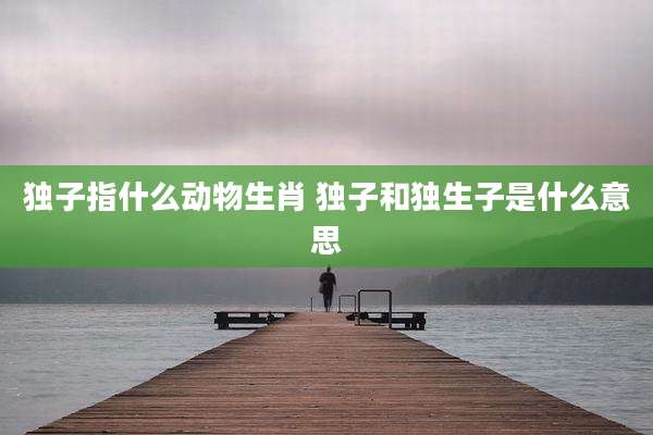 独子指什么动物生肖 独子和独生子是什么意思