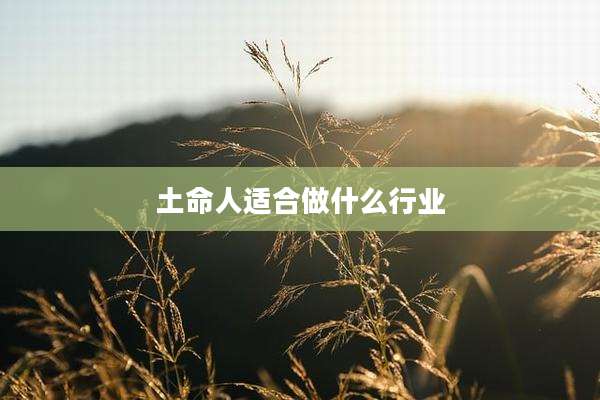 土命人适合做什么行业