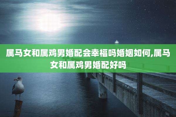 属马女和属鸡男婚配会幸福吗婚姻如何,属马女和属鸡男婚配好吗