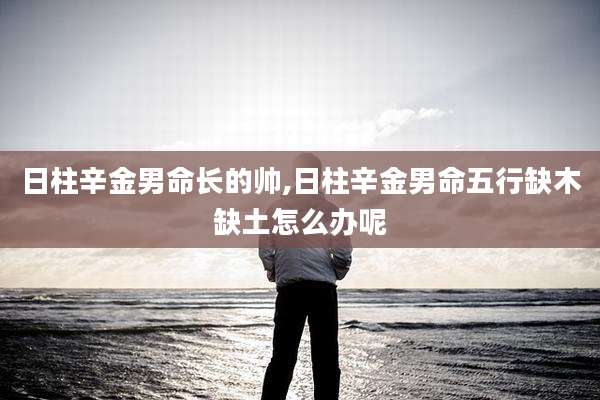 日柱辛金男命长的帅,日柱辛金男命五行缺木缺土怎么办呢
