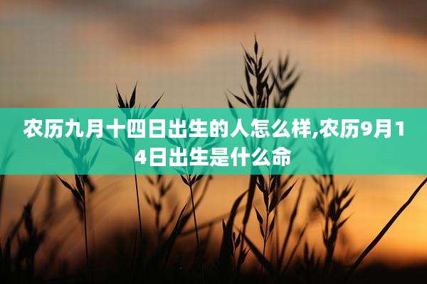 农历九月十四日出生的人怎么样,农历9月14日出生是什么命