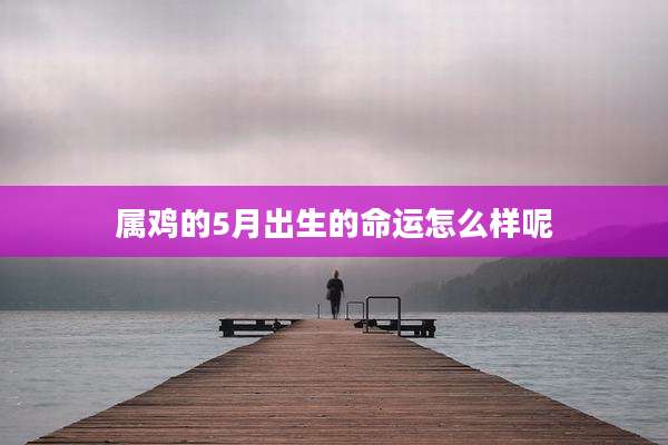 属鸡的5月出生的命运怎么样呢