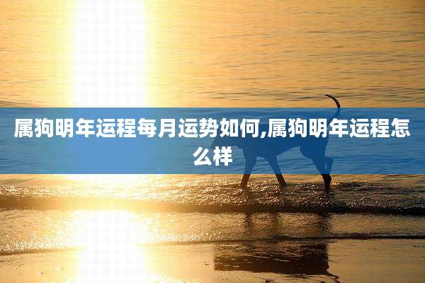 属狗明年运程每月运势如何,属狗明年运程怎么样