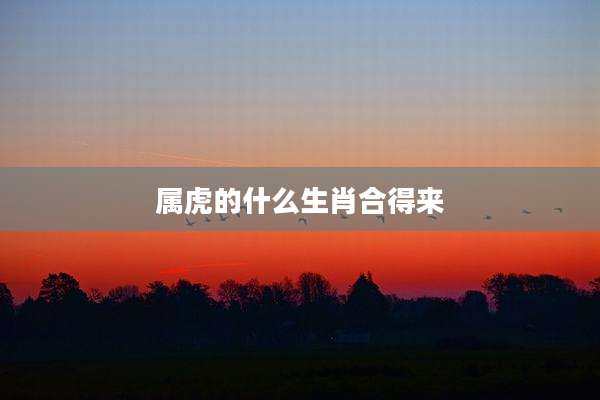 属虎的什么生肖合得来