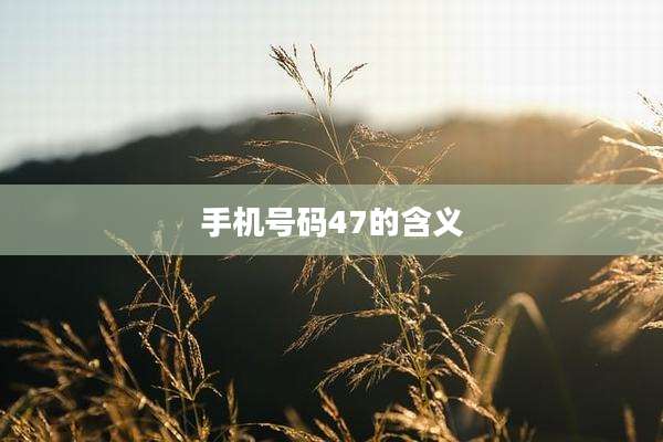 手机号码47的含义