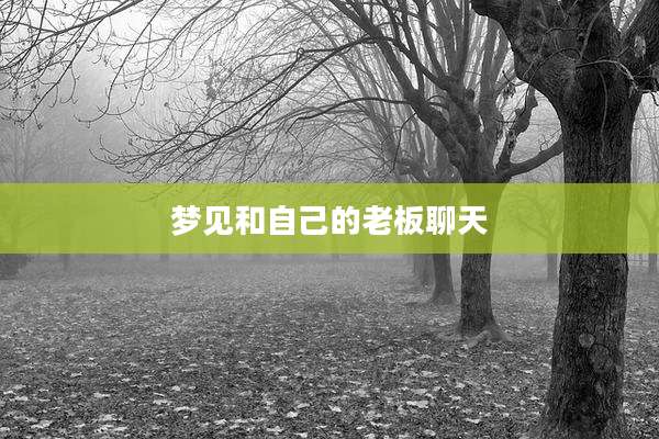 梦见和自己的老板聊天