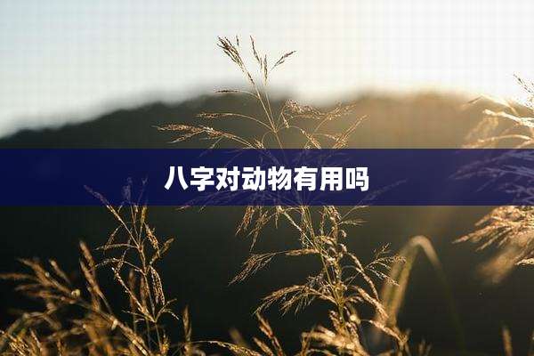 八字对动物有用吗