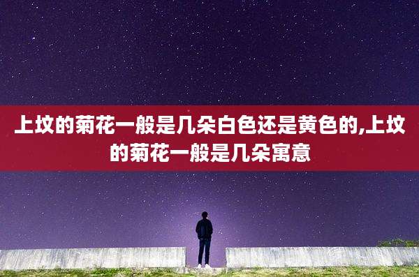 上坟的菊花一般是几朵白色还是黄色的,上坟的菊花一般是几朵寓意