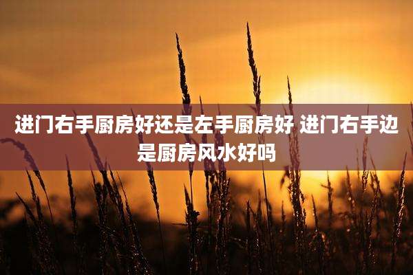 进门右手厨房好还是左手厨房好 进门右手边是厨房风水好吗