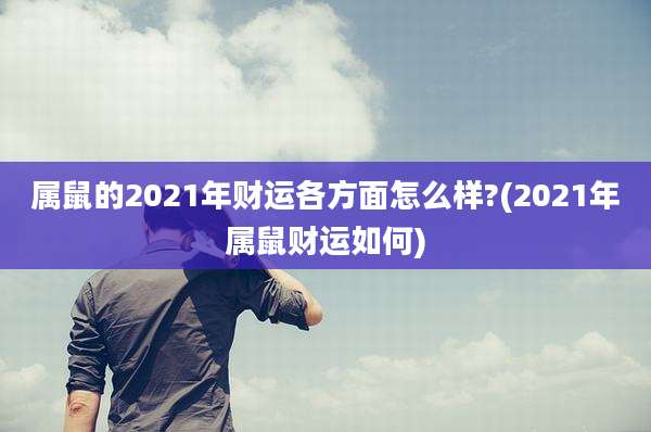 属鼠的2021年财运各方面怎么样?(2021年属鼠财运如何)