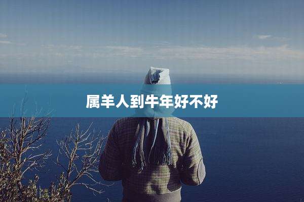属羊人到牛年好不好