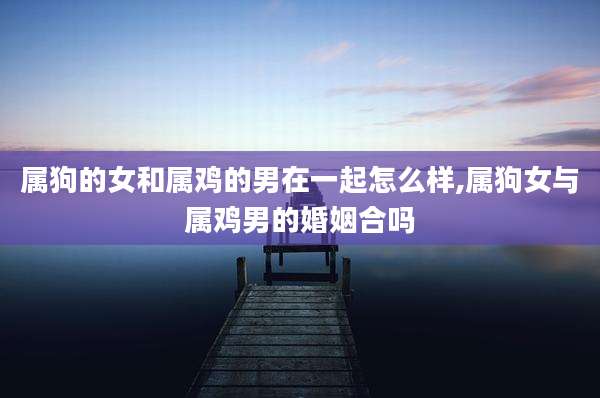 属狗的女和属鸡的男在一起怎么样,属狗女与属鸡男的婚姻合吗
