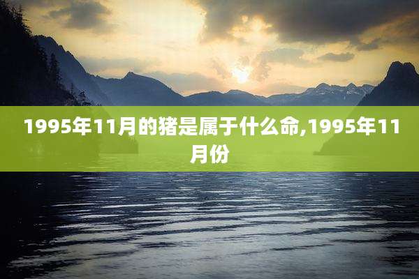 1995年11月的猪是属于什么命,1995年11月份