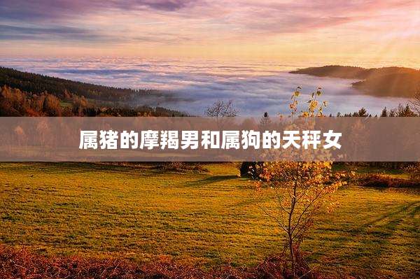 属猪的摩羯男和属狗的天秤女