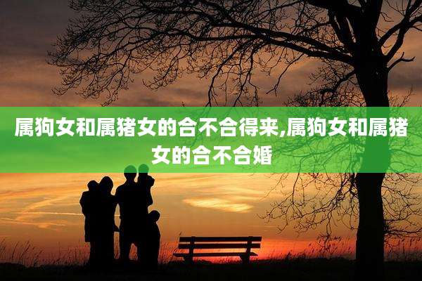 属狗女和属猪女的合不合得来,属狗女和属猪女的合不合婚